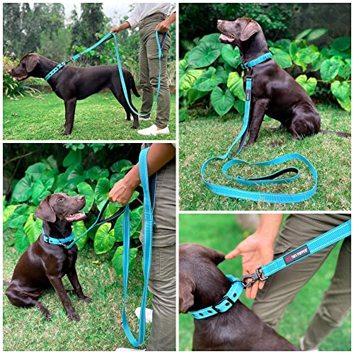 Tuff Pupper Heavy Duty Double Handle Leash | Twist Locking Carabiner Clip | Safety Lock for Strong Dogs | Reflective for Safe Night Walks | 6 Foot Leash | For Medium & Large Dogs - color: Teal