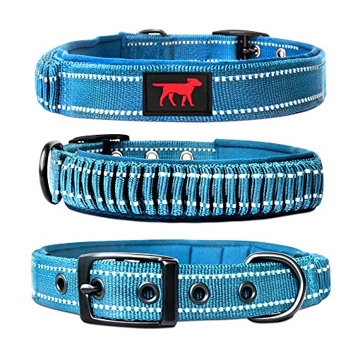 Tuff Pupper Heavy Duty Dog Collar with Handle | Ballistic Nylon Heavy Duty Collar | Padded Reflective Dog Collar with Adjustable Stainless Steel Hardware | Convenient Sizing for All Breeds - color: Teal, size: Small (11 - 14" Neck)