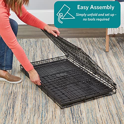 MidWest Homes for Pets 24-Inch iCrate for Small Breeds, 12-20 lbs, Single Door Folding Dog Crate with Divider Panel, Leak-Proof Tray & Secure Latch, Portable, Durable & Easy to Assemble - size: 24.8"L x 17.9"W x 19.5"H