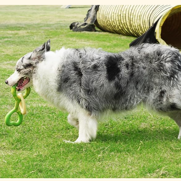 Tug of War Dog Toys Natural Rubber Durable Interactive Dog Toy for Aggressive Chewers Suitable for Big Large-Size Breeds Dog