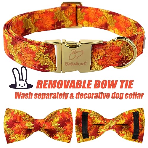 Fall Dog Collar with Bow Tie - Cute Fall Gold Maple Thansgiving Dog Collars, Adjustable Cotton Metal Buckle Bowtie Collar for Small Medium Large Boy Girl Dogs XS - color: B-Maple Leaf, size: XS