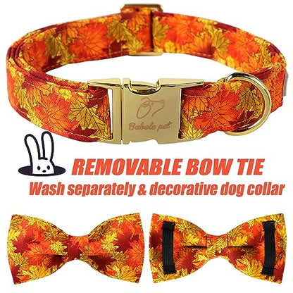 Fall Dog Collar with Bow Tie - Cute Fall Gold Maple Thansgiving Dog Collars, Adjustable Cotton Metal Buckle Bowtie Collar for Small Medium Large Boy Girl Dogs XS - color: B-Maple Leaf, size: XS