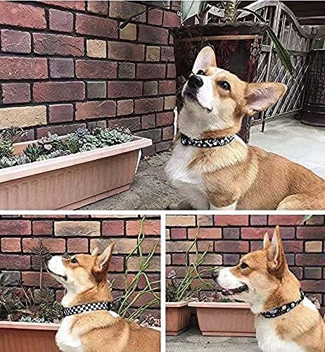 Roses&Poetry Dog Collar with Colourful Star Patterns, Adjustable Durable Puppy Collars for Small Medium Large Dogs (Star-S) - color: Star, size: S