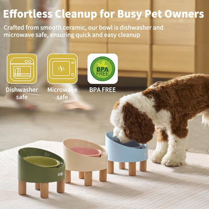 Ceramic Elevated Cat Bowls, Adjustable Raised Double Bowls Set, Pet Bowl with Anti Slip Rubber Pad, Leak-Proof, Stress Neck Free Food & Water Bowls for Small Dogs Geen - color: SR-Green 2 sets