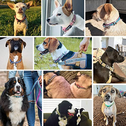 Blueberry Pet Safety Dog Collar with Dual D-Rings | 3M Reflective Multi-Colored Adjustable Collar in Blue and White | Soft Nylon Dog Collar for Active Small Dogs