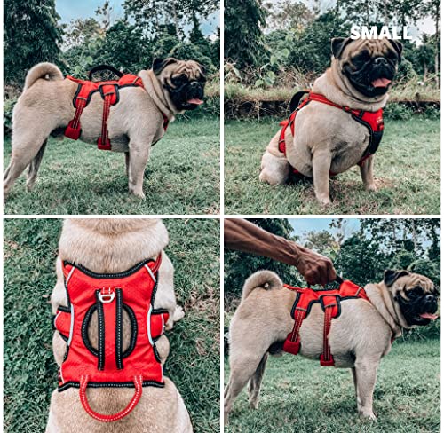 Tuff Pupper Tracker No Escape Dog Harness, Dual Attachment Points, Reflective 3M Stitching, XS - XL, March Red - color: March Red, size: Small