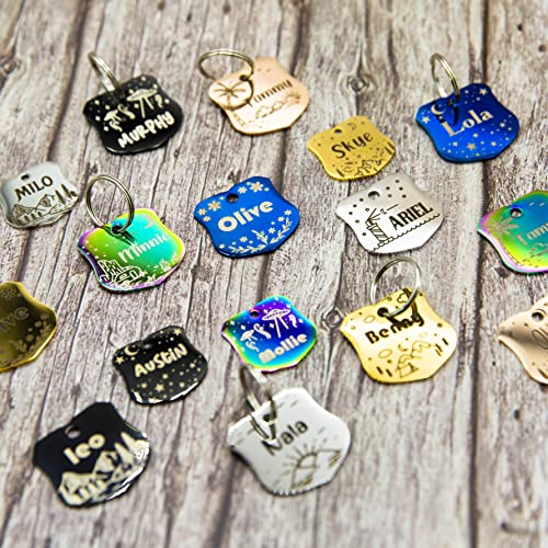Personalized Dog Tag with 5 Lines of Custom Deep Engraved Durable Stainless Steel Pet ID Name Tag Designer Small Size Badge - size: Small, style: Badge