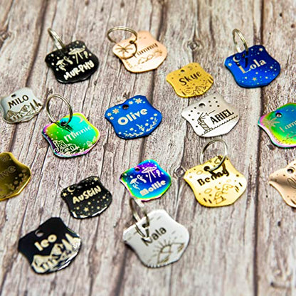 Personalized Dog Tag with 5 Lines of Custom Deep Engraved Durable Stainless Steel Pet ID Name Tag Designer Small Size Badge - size: Small, style: Badge