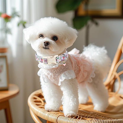 Summer Dog Collar Cute Lavender Dog Collars for Puppy Small Dogs - Lightweight Adjustable Fruit Printed Female Dogs Everyday Collar with Safety Buckle XS - color: Fruit Garden, size: XS