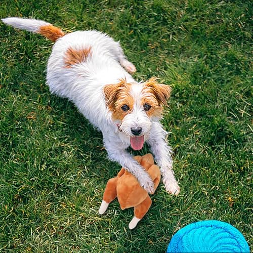 Chew Toys for Aggressive Chewers, Interactive Squeaky Plush Dog Toys for Small Dogs,Funny Indestructible Soft Interactive Dog Toy for Home Indoor Teething Puppy Anxiety Relief Small Medium Breeds