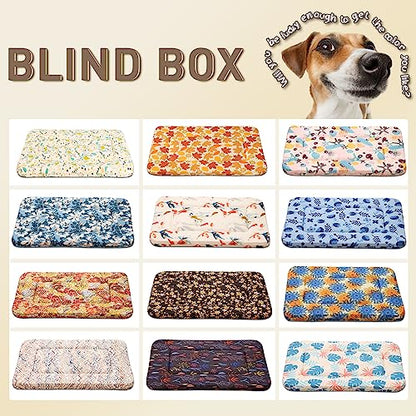 X-Small Crate Bed Pad - Super Soft Pancake Style Mat for Kennels, Ideal for Pet Beds, Machine Wash and Dryer Friendly, 22-Inch, Random Color