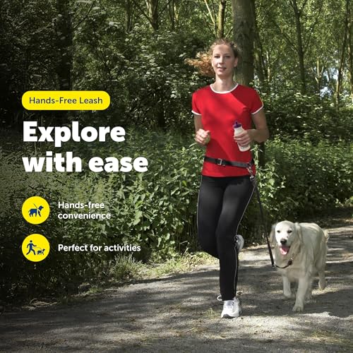 PetSafe Hands Free Adjustable Dog Leash - Great for Running, Jogging, Walking and Hiking - Wear Around the Waist - Black