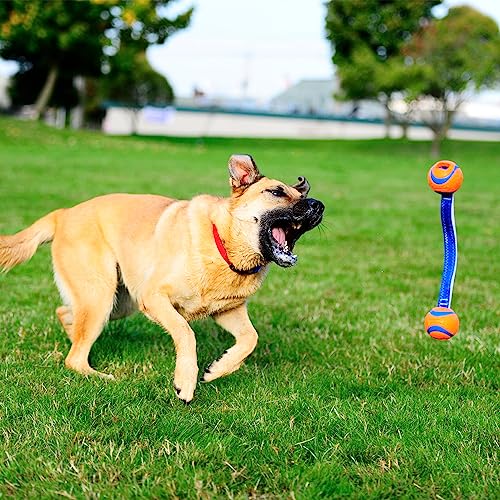 Chuckit! Ultra Duo Tug Dog Toy, Small Indoor and Outdoor Dog Ball for Dogs 0-20 Pounds - size: Small, style: Ultra Duo Tug