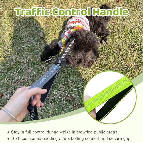Double Dog Leash - No Tangle Splitter for Two Dogs, Coupler with Adjustable Long Lead Rope, Dual Control Handles, Retractable No Pull Bungee, Walk Train Small Medium Large 2 Pets (Green) - color: Green