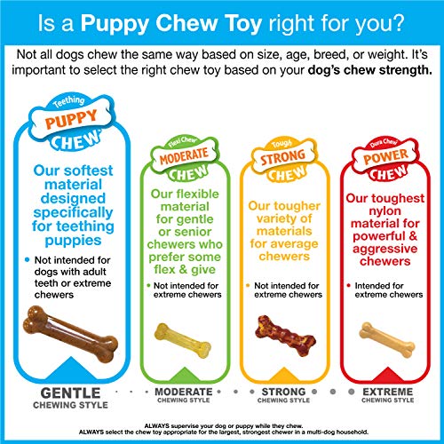 Nylabone New Puppy Starter Kit, 5 Chew Toys and 1 Natural Treat for Puppies, Multi Color, Bacon & Chicken Flavor, Small Dogs - Up to 25 lbs., 6 Pack - color: Bundle