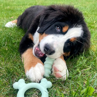Nylabone Sensory Material Soothing Puppy Chew Toy Ring, Toys for Teething Puppies, Chicken Flavor, Small - Up to 25 lbs, 1 Count