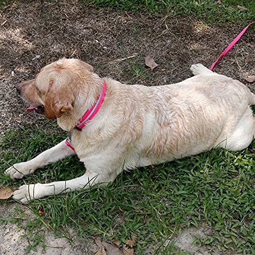NIMBLE Dog Collar Waterproof Pet Collars Anti-Odor Durable Adjustable PVC & Polyester Soft with Reflective Cloth Stripe Basic Dog Collars S/M/L Sizes (Small (9.45”-14.17”inches), Pink) - color: Pink, size: Small (9.45”-14.17”inches)