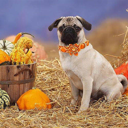 Dog Collar, Fall Dog Collar with Flower Plaid Pet Collar Flower Puppy Collars Cute Pet Adjustable Collar for X-Small Puppy - color: Pumpkin Plaid, size: X-Small (Pack of 1)