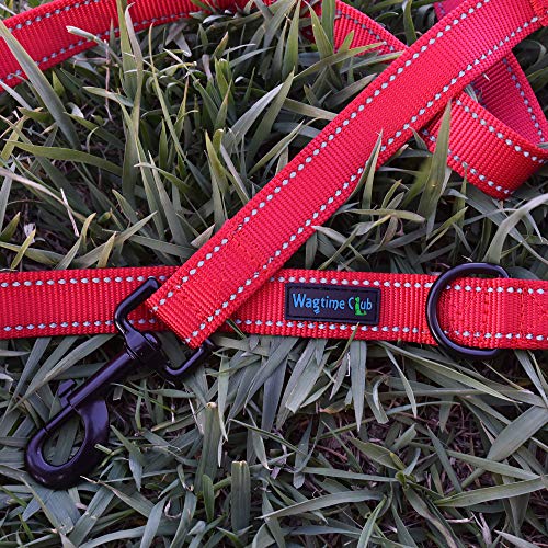 Wagtime Club Double Handle Dog Leash, 6ft Long Heavy Duty Dog Leash with Paded Traffic Handles for Extral Control and Training, Dual Handles Leads, Large Medium Small Dogs (Carnation Red) - color: Carnation Red