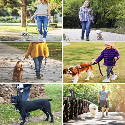 Heavy Duty No Pull Dog Leash for Large Medium Dogs, Dual Two Padded Handle Shock Absorbing Reflective Pet Leash, Adjustable Training Lead for Walking - Black