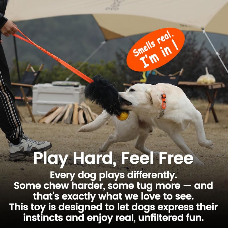 Dog Rope Toy,Dog Bungee Chaser Toy 100% Sheepskin,Sheep Smell Tug Toy for All Breeds(Green, Long Without Ball) - color: Green, size: Long Without Ball