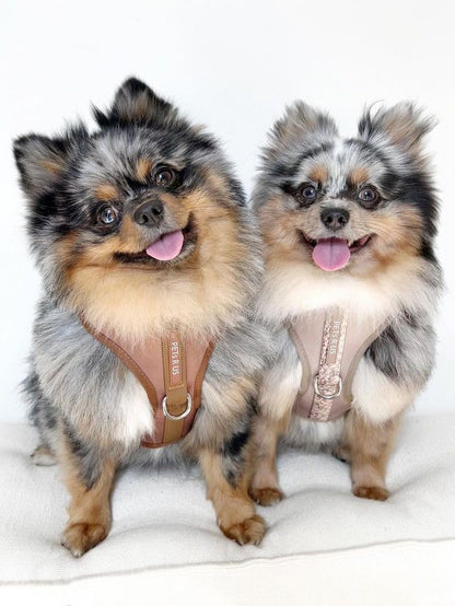Premium No-Pull Dog Harness Soft Neoprene & Breathable Mesh Vest with Front & Back Clip D-Rings Adjustable Lightweight Walking Harness for Puppies, Small & Medium Dogs (Brown Taupe Snake, S) - color: Brown Taupe Snake, size: S: Neck=13.8-17.3''/Chest=16.1