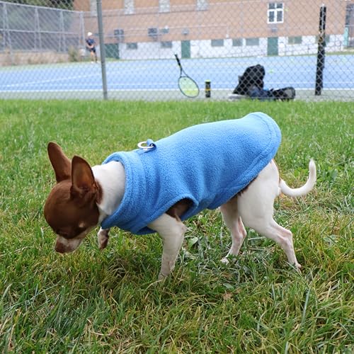 JACKO & CO - Fleece Vest Dog Sweater with Leash Ring - Soft, Warm & Lightweight Pullover Coat for Small & Medium Dogs, Puppies & Cats - Cozy Fall/Winter/Spring Pet Jacket (Blue, Small 4-6lbs) - color: Blue, size: S (4-6lbs)