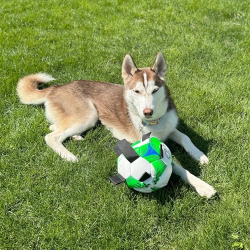 SPOT Dog Soccer Ball with E-Z Tabs - Interactive Fetch and Tug Dog Toy with Heavy Duty Nylon Straps for Carrying, Tossing, and Tugging, Floats in Water, 9in Sports Ball with Air Pump Included
