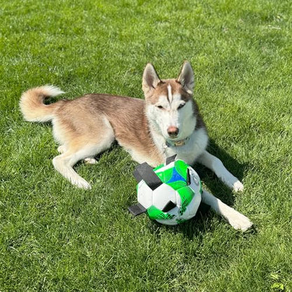 SPOT Dog Soccer Ball with E-Z Tabs - Interactive Fetch and Tug Dog Toy with Heavy Duty Nylon Straps for Carrying, Tossing, and Tugging, Floats in Water, 9in Sports Ball with Air Pump Included