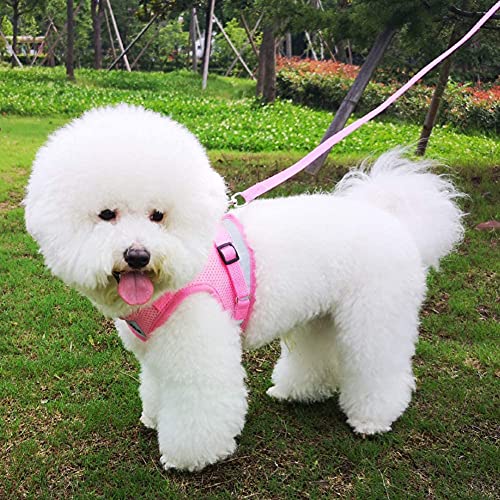 Dog Harness and Leash Set for Walking, Soft Mesh Adjustable Easy Control Lightweight Cat Vest Harnesses with Reflective Strips, Escape Proof Small Dogs Cats Vests (Pink, X-Large) - color: Pink, size: X-Large