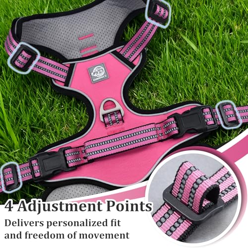 Vest Harness for Dogs - Reflective Adjustable Padding with Easy-On Design & Leash Attachment(S, Hot Pink) - color: Hot Pink, size: S