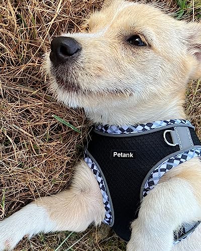 Petank Medium Dog Harness (Black) - Jacquard Fabric, Velcro - Easy Walk Harness for Training, Running, Walking - Reflective Strip - Size M - Dogs of Various Breeds & Sizes - color: Black, size: M