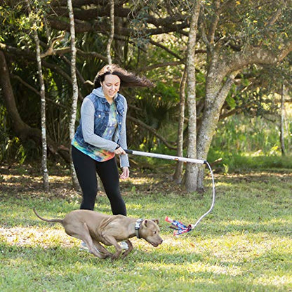 Squishy Face Studio Flirt Pole V2 with Lure - Durable Dog Toy for Fun Obedience Training & Exercise, Purple/Blue Tie Dye, Regular - 36 inch - color: Purple/Blue Tie Dye, size: Regular (36 in), style: No Squeaker
