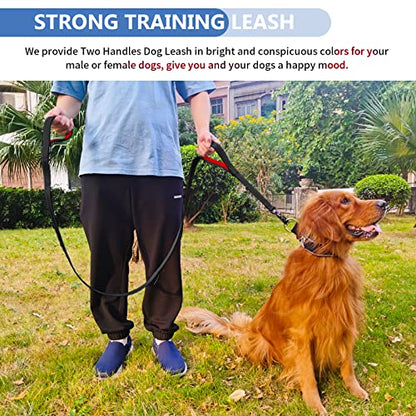 Strong Heavy Duty Dog Leash - 4ft Reflective Nylon Training Leash with Soft Padded Double Handle & Auto Lock Frog Clip - Safety Traffic Control for Large Medium Small Dogs No Pull Walk Black Red,4ft - color: Black Red, size: 4FT x 1" x 2.8MM