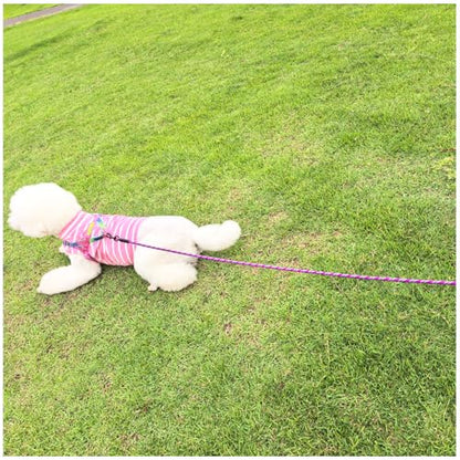 Heavy Duty Rope Dog Leash, 6/8/10/15/20/30 FT Long Dog Leash Nylon Pet Lead, Soft Padded Handle Thick Lead Leashes for Large Medium Dogs Training (15ft * 1/2", Purple) - color: purple, size: 1/2" * 15'