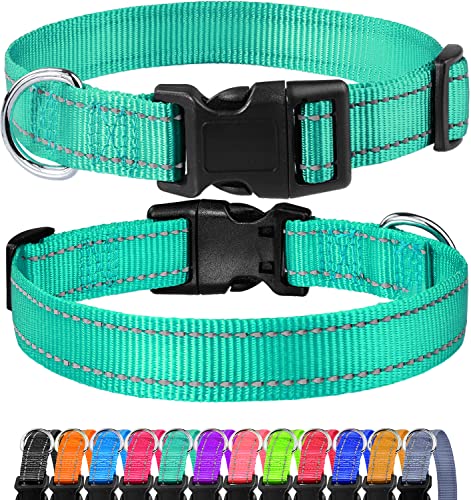 Reflective Dog Collar, Sturdy Nylon Collars for Puppy and Extra Small Girl and Boy Dogs, Adjustable Dog Collar with Quick Release Buckle,Turquoise,5/8" Width - color: Turquoise, size: X-Small Plus (Pack of 1)