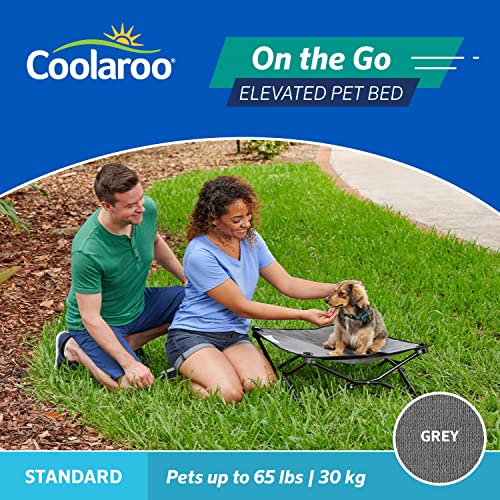 Coolaroo On-The-Go Elevated Dog Bed - Foldable Pop-Up Travel Dog Bed with Breathable, Moisture-Resistant Fabric, Carry Bag Included, Lightweight & Portable, Gray, Standard - color: Grey, style: Standard