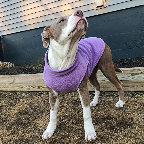 Gooby Stretch Fleece Vest Dog Sweater - Lavender, Small - Warm Pullover Super Stretchy Fleece Dog Jacket for Small to Large Dogs - color: Lavender, size: Small Length (9")