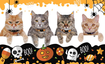 4 Pack Halloween Kitten Collars Breakaway with Bells, Adjustable Cat Collars with Safety Buckle,Adjustable from 6"-8", Skull and Crossbones,Ghosts, Spider and Pumpkin Prints - color: 8#Spider, size: Kitten(Neck:6"-8")
