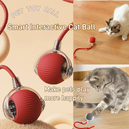 Interactive Rolling Cat Ball - 360°Automatic Chew Toy for Active Cats, Rolling Small Dog Cat Toys,Smart Automatic Fast Rolling Pet Ball - cat Toys (Blue)