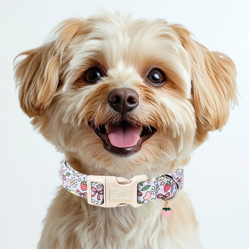 Summer Dog Collar Cute Lavender Dog Collars for Puppy Small Dogs - Lightweight Adjustable Fruit Printed Female Dogs Everyday Collar with Safety Buckle XS - color: Fruit Garden, size: XS