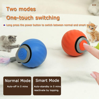 Interactive Cat Toy Ball,Speedy Tail2.0 Cat Toy,Automatic Interactive Cat Toys for Indoor Cats with 2 Tails,2Speeds Rechargeable Cat Enrichment Toys for Small/Medium/Large Cats to Keep Them Busy(Blue) - color: Blue