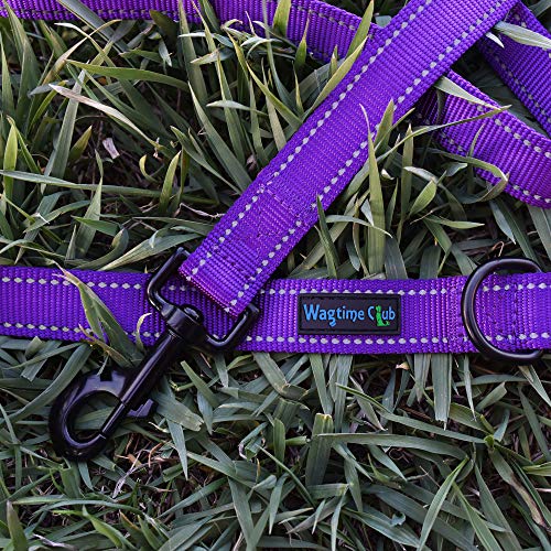Wagtime Club Double Handle Dog Leash, 6ft Long Heavy Duty Dog Leash with Paded Traffic Handles for Extral Control and Training, Dual Handles Leads, Large Medium Small Dogs (Vibrant Purple) - color: Vibrant Purple