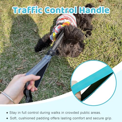 Double Dog Leash - No Tangle Splitter for Two Dogs, Coupler with Adjustable Long Lead Rope, Dual Control Handles, Retractable No Pull Bungee, Walk Train Small Medium Large 2 Pets (Blue) - color: Blue