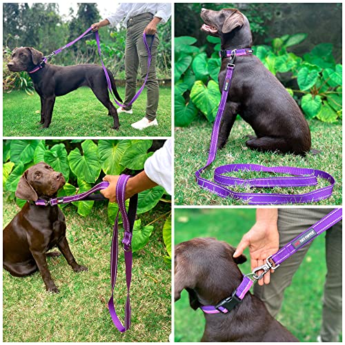 Tuff Pupper Heavy Duty Double Handle Leash | Twist Locking Carabiner Clip | Safety Lock for Strong Dogs | Reflective for Safe Night Walks | 6 Foot Leash | For Medium & Large Dogs - color: Purple