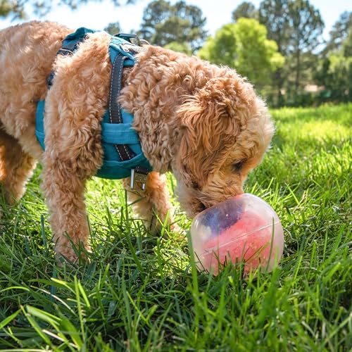 Outward Hound Nina Ottosson Topsy Treat Ball Dog Puzzle Interactive Treat Puzzle Dog Enrichment Dog Toy, Level 1 Beginner, Orange - color: Blue