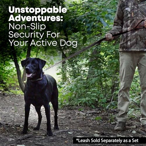 Regal Dog Products Small Black Waterproof Dog Collars with Custom Engraved Name Plate | Vinyl Coated, Anti, Easy to Clean Personalized Biothane Dog Collar - Other Sizes for Medium & Large Dogs - color: Black, size: Small Collar