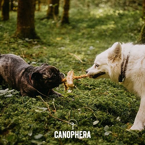Canophera Dog CHEW Made of Coffee Wood and Coconut Rope (Medium) - size: Medium