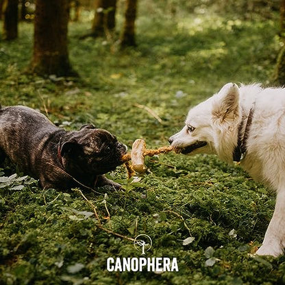 Canophera Dog CHEW Made of Coffee Wood and Coconut Rope (Medium) - size: Medium