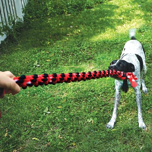 KONG Signature Rope 22' Double Tug